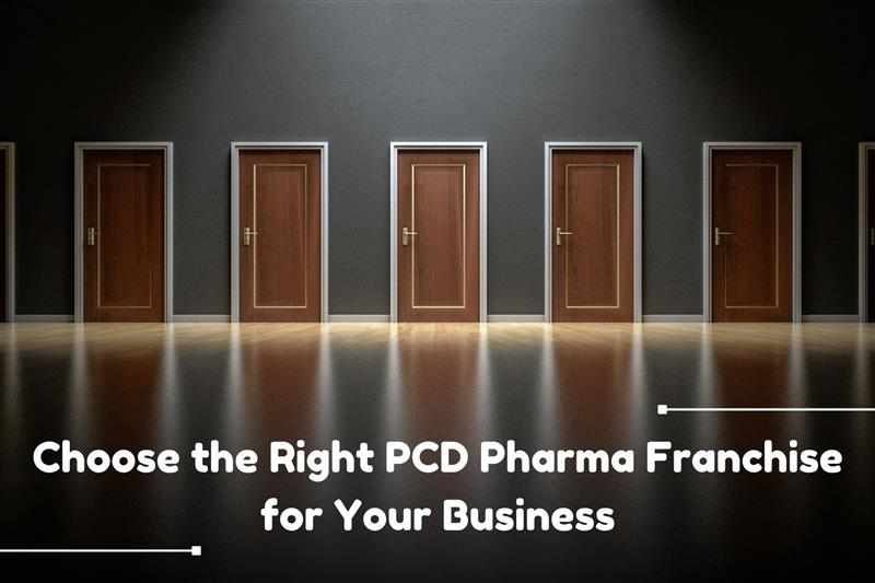 How to Choose the Right PCD Pharma Franchise for Your Business?