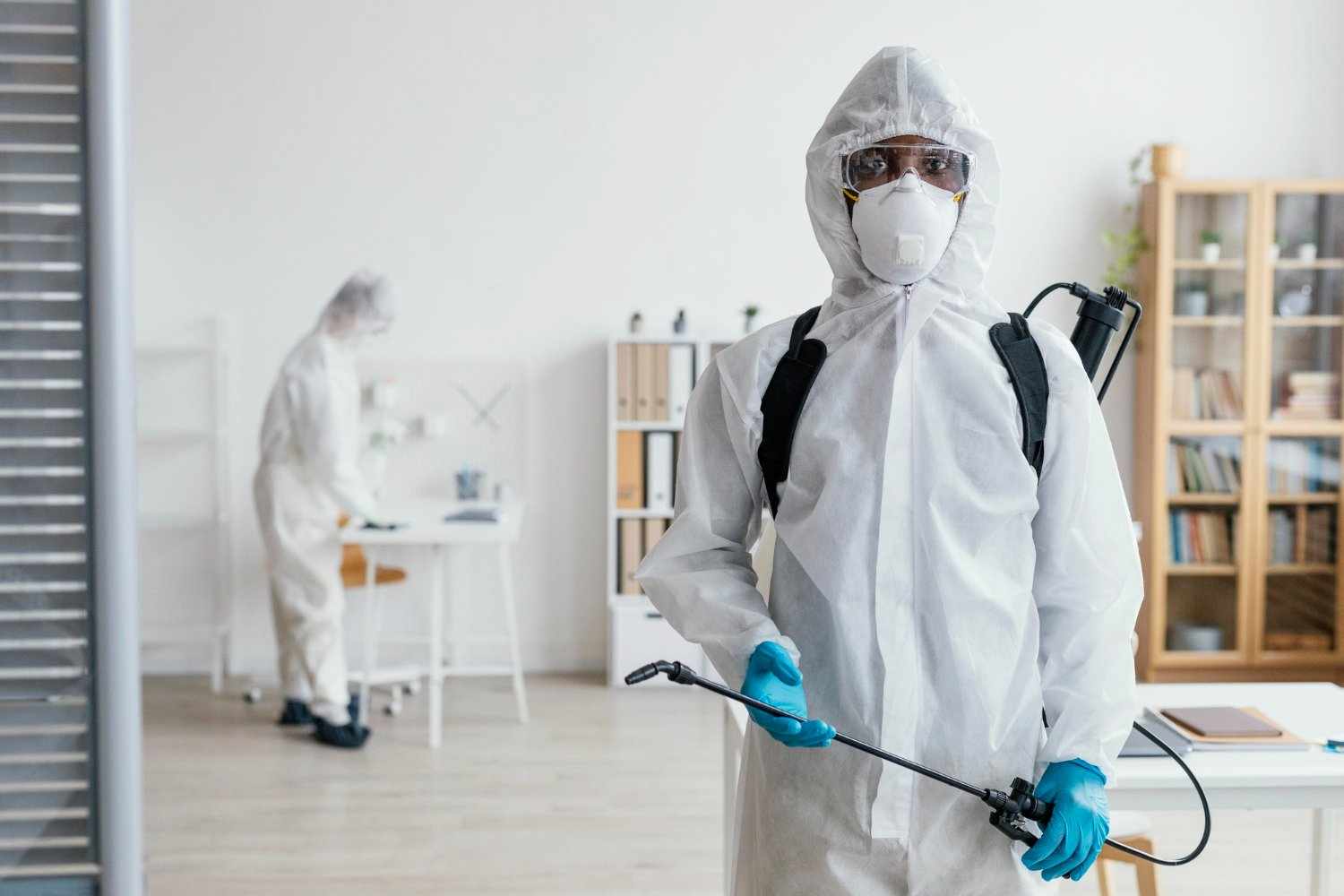 Effective Wasp & Bee Removal Services in Brisbane & Sydney | Instant Pest Control