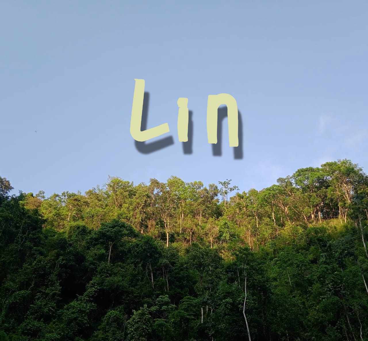 Lin