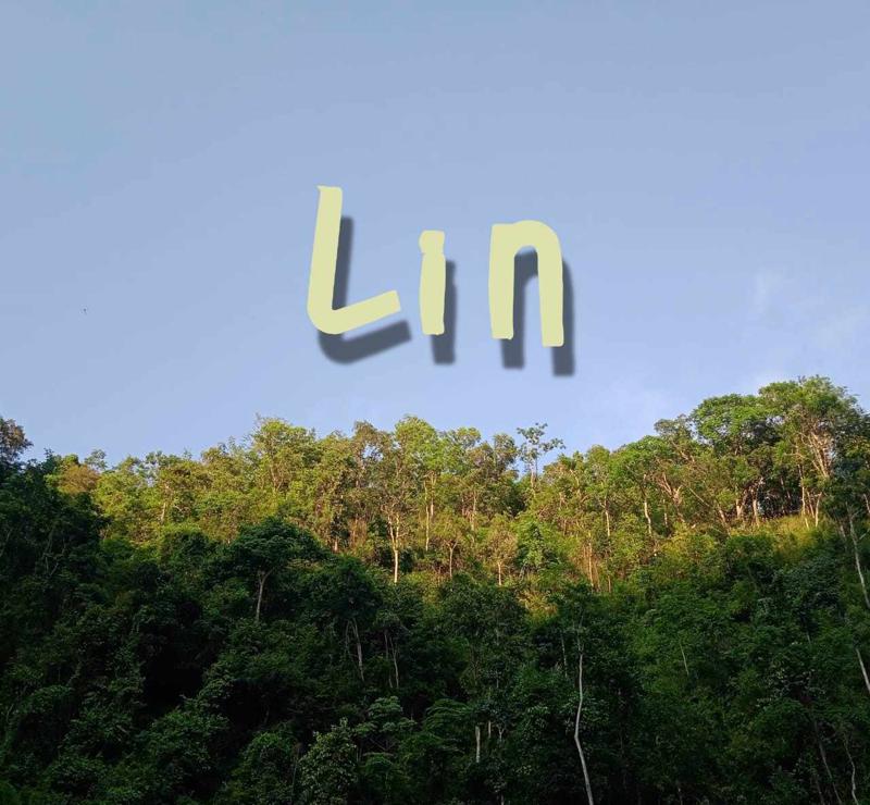 Lin