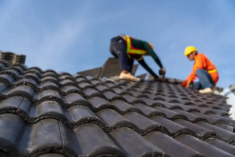 Why You Should Always Call a Professional Roofing Contractor for Roof Repairs in Adelaide
