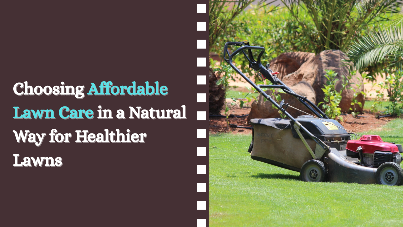 Choosing Affordable Lawn Care in a Natural Way for Healthier Lawns