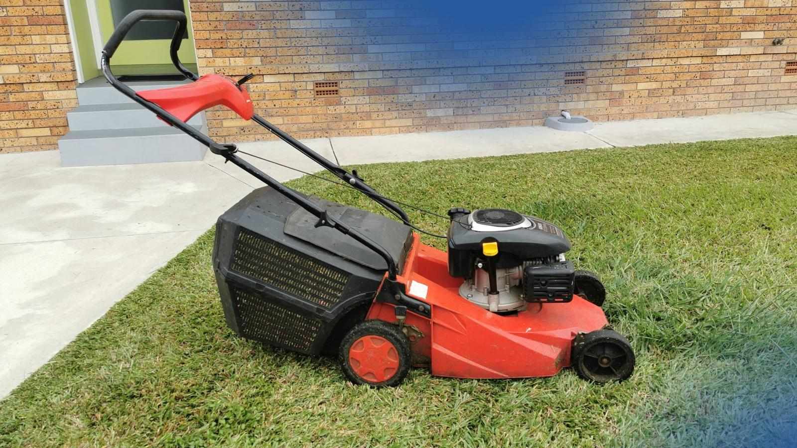 Comprehensive Lawn Weed Control Service for Beautiful Lawns