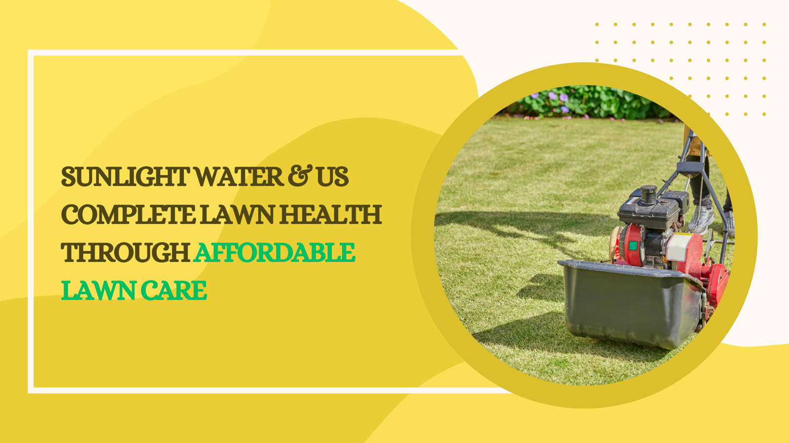 Sunlight Water & Us Complete Lawn Health Through Affordable Lawn Care
