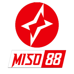 Babu Fri logo