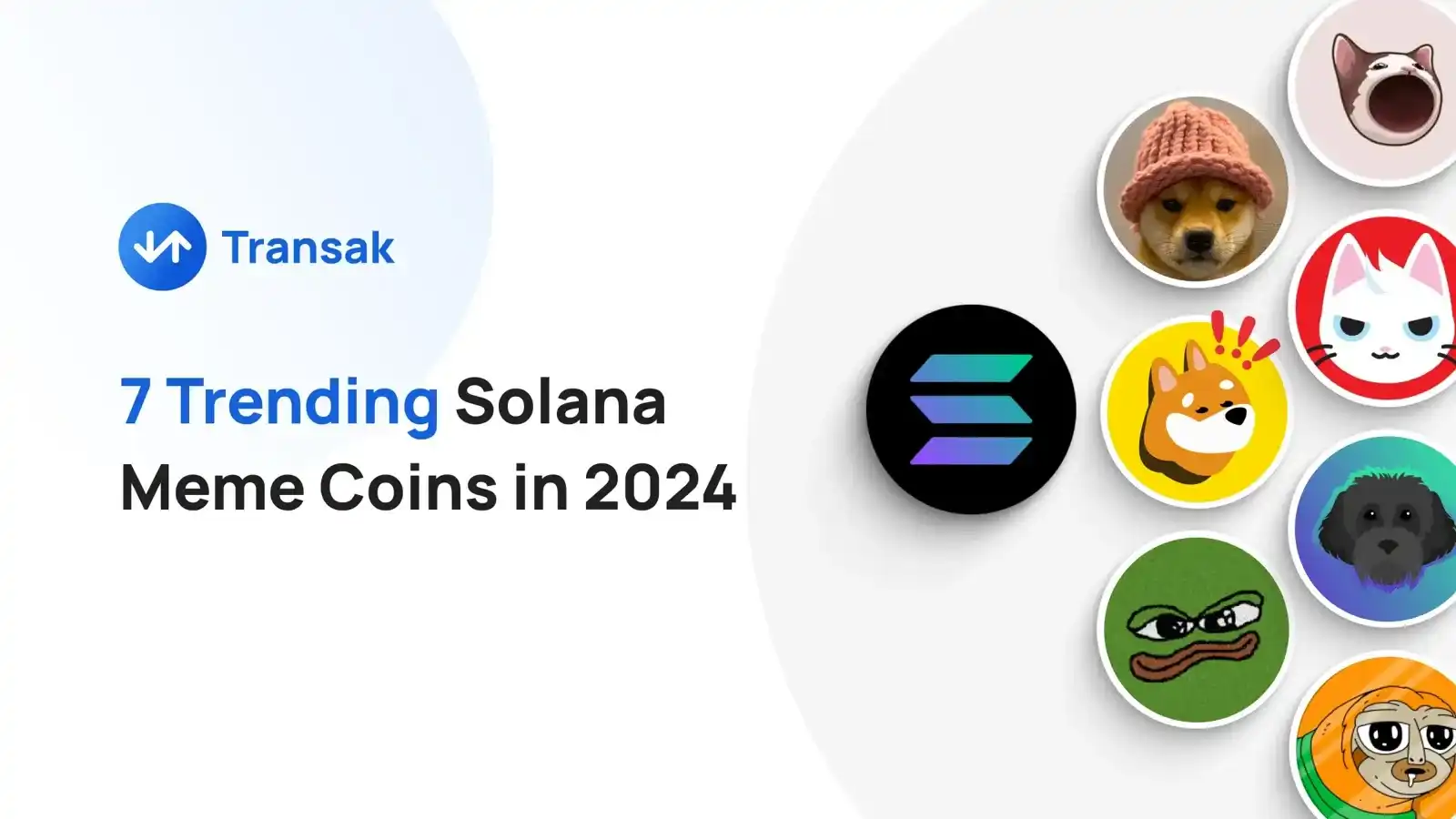 How to Launch a Successful Solana Meme Coin: A Step-by-Step Guide