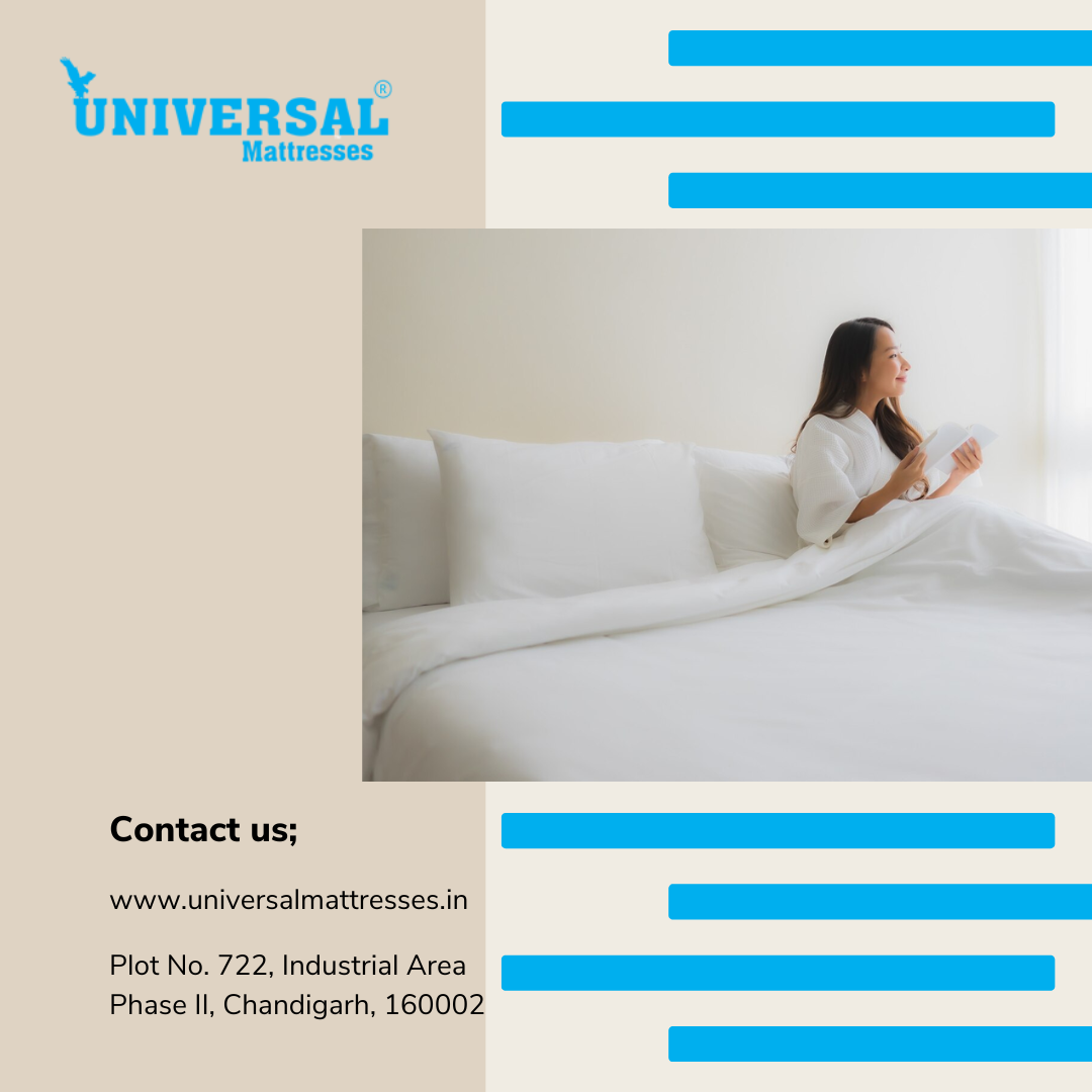 How to Get Rid of Bed Bugs in a Mattress