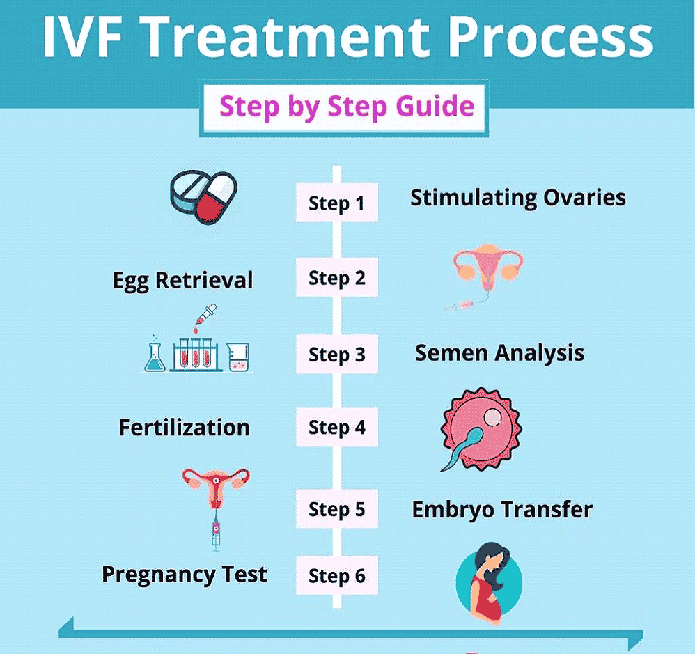 How Does the Quality of Embryos Affect the Success Rates of IVF Procedures?