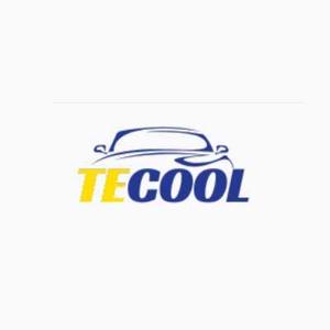 TE COOL logo