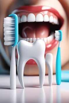 Dentist St Augustine