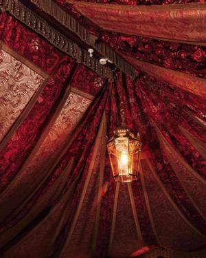 CHAPTER 17.  TURMERIC AND TALES~
