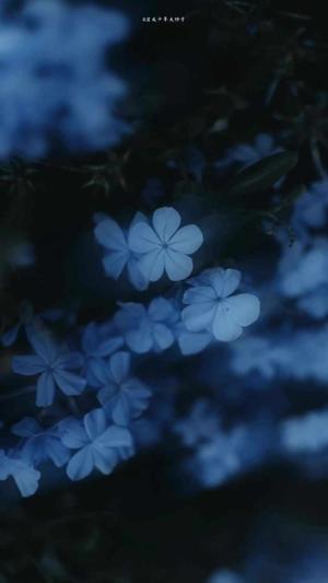 PROLOGUE
