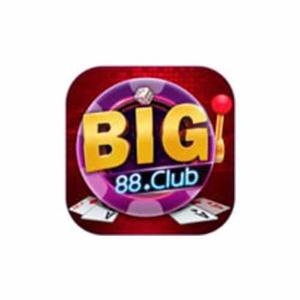big88city logo