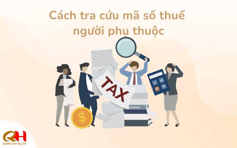 Câu hỏi thường gặp khi tra cứu mã số thuế người phụ thuộc