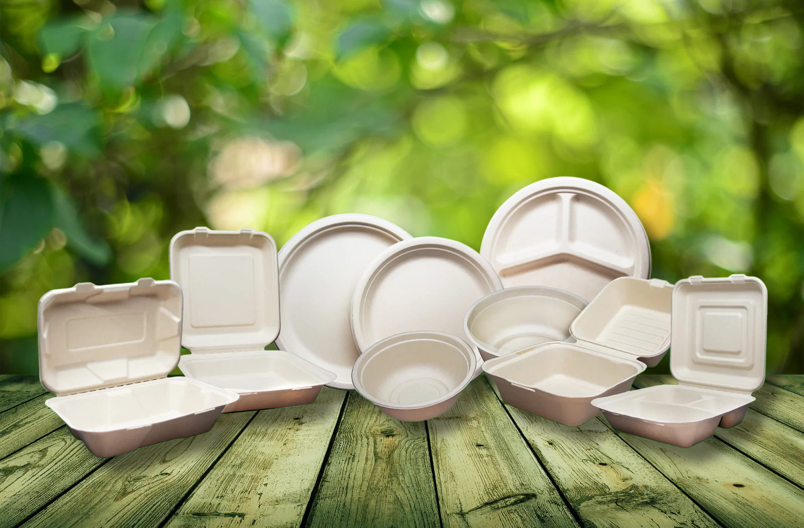 Sustainable Dining Made Easy - Zero Waste Solutions with Plant Plate
