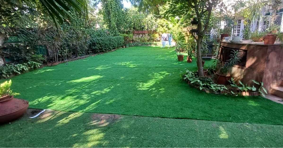 Before You Buy a Lawn: How Natural Grass Dealers Help You Avoid Costly Landscaping Mistakes