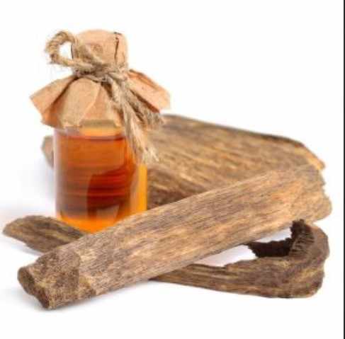 Trusted Vietnamese Agarwood Oil Exporter & Supplier