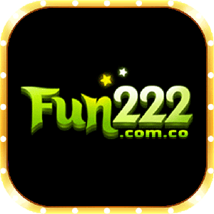 fun222comco logo
