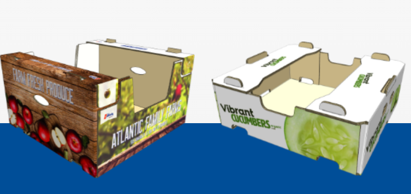 Corrugated Digital Printing & Packaging: Revolutionizing the Packaging Industry