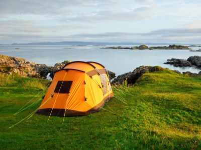 Iceland Bird Watching Tours | Besttimetovisiticeland.c