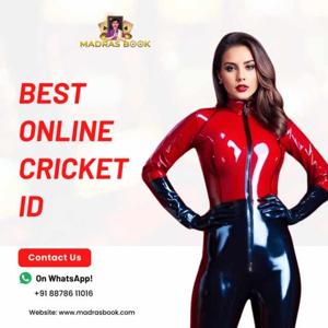 How to Choose the Best Cricket Betting ID Provider for Safe Betting