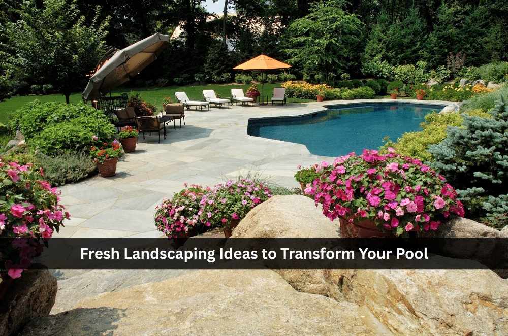 Fresh Landscaping Ideas to Transform Your Pool