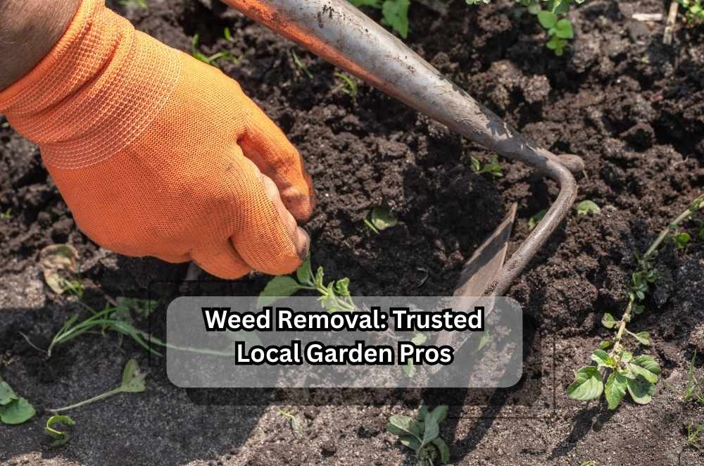 Weed Removal: Trusted Local Garden Pros
