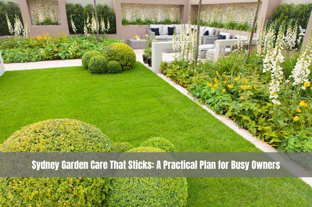 Sydney Garden Care That Sticks: A Practical Plan for Busy Owners