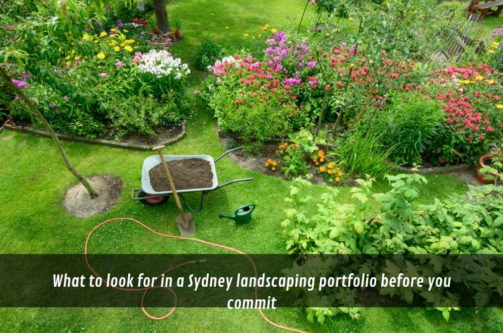 What to look for in a Sydney landscaping portfolio before you commit