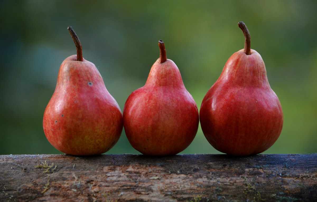 Bioactive Compounds: Why Food Is Complex