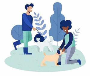 Protect Your Home and Pets with Dog Liability Insurance for Renters