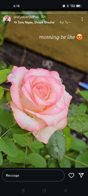 Shruti Rathore  logo