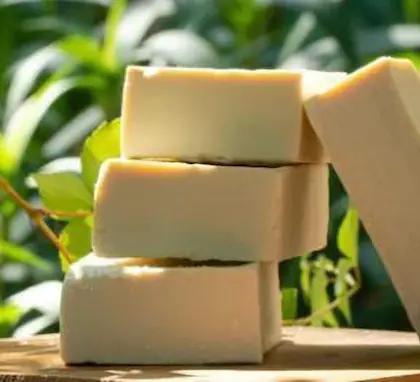Buy Shopiox Shea Butter Milk Melt And Pure Soap Base, 1000 G Online at Best  Prices in India - JioMart.