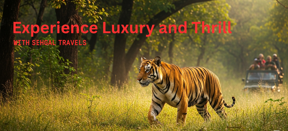 Step Into the Wild: Discover Jim Corbett the Explorer’s Way