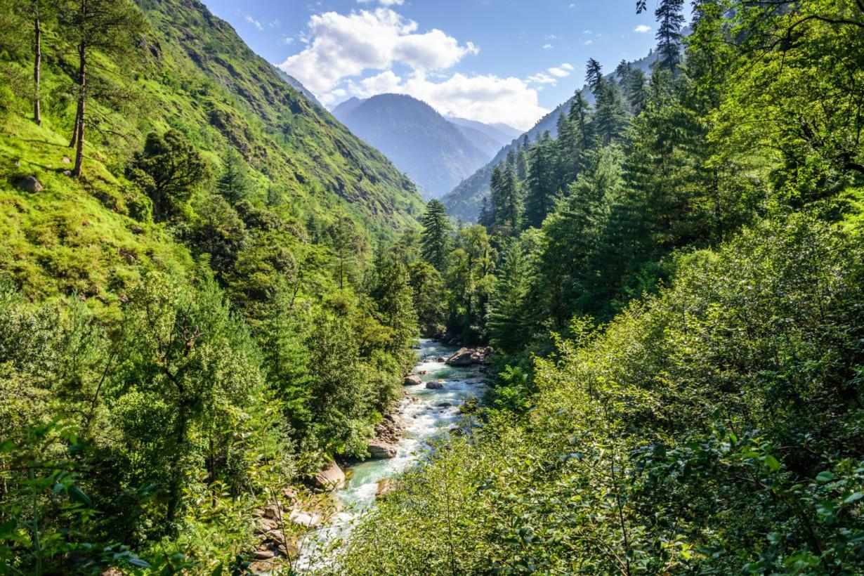 Explore Tirthan Valley: A Peaceful Mountain Retreat for Every Traveller