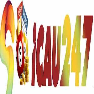 Soi cau 247 logo