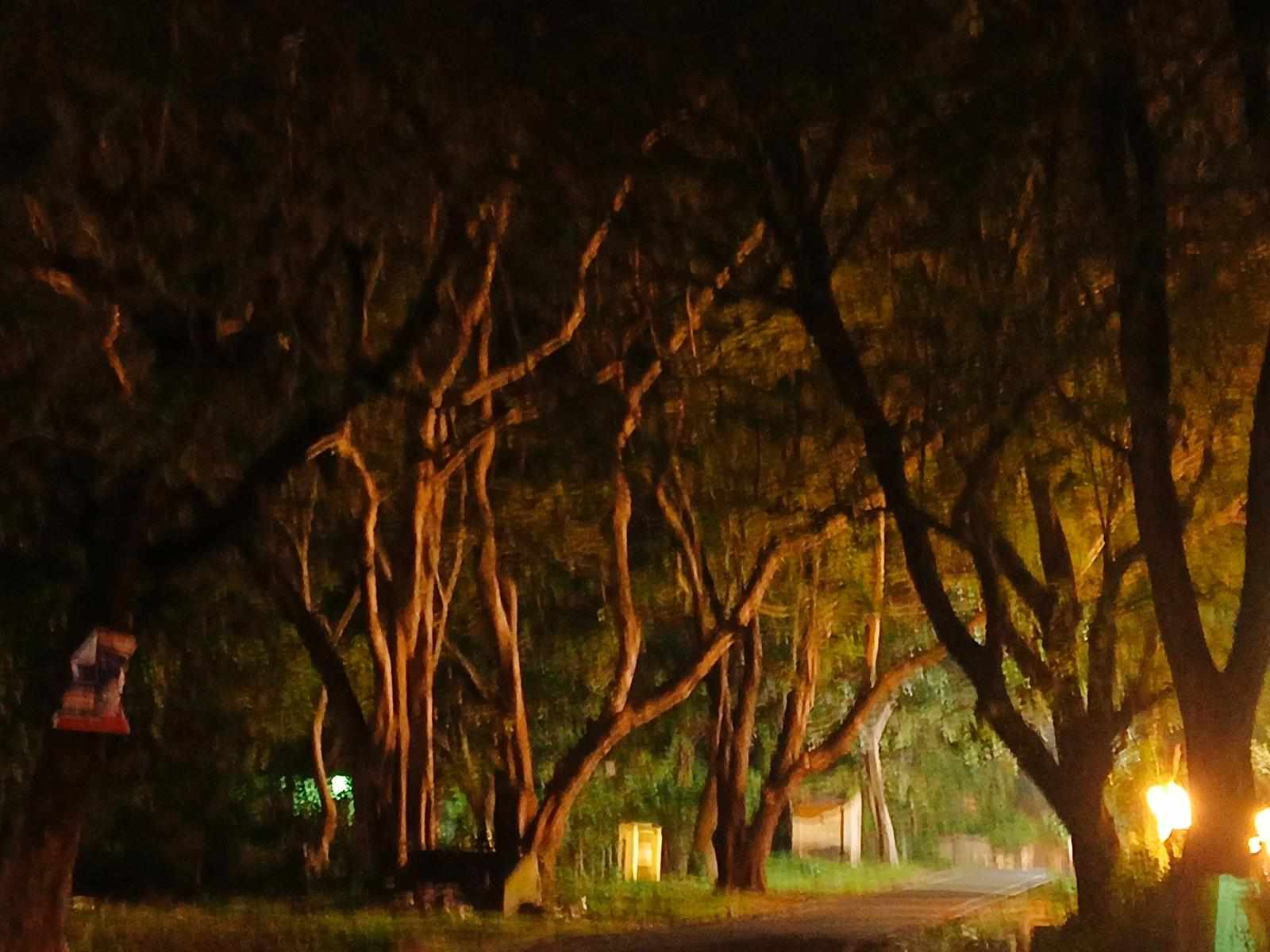 अकादमिक हत्या के विरुद्ध