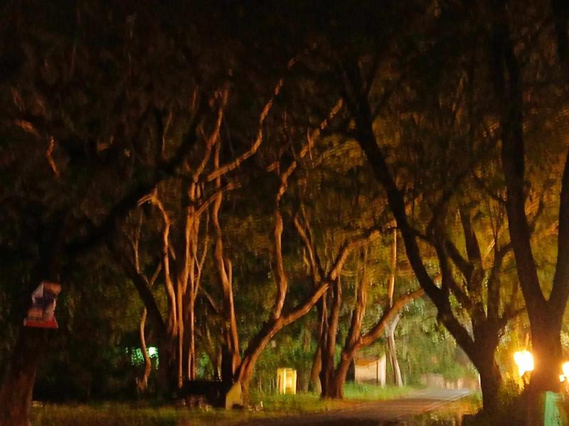 अकादमिक हत्या के विरुद्ध