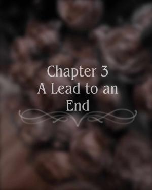 Chapter 3: A Lead to an End