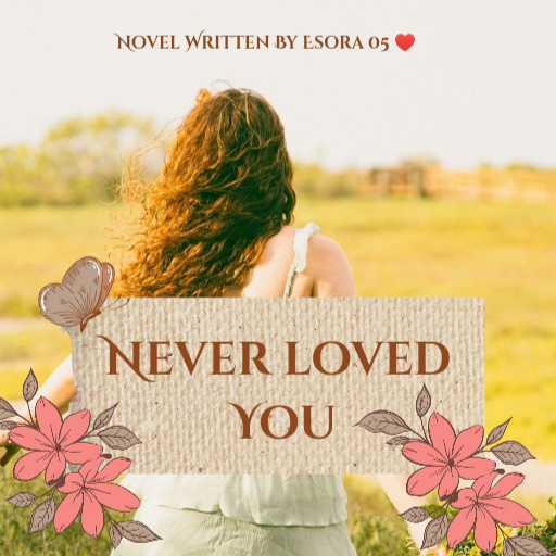 Never Loved You [CompleteD]✔️