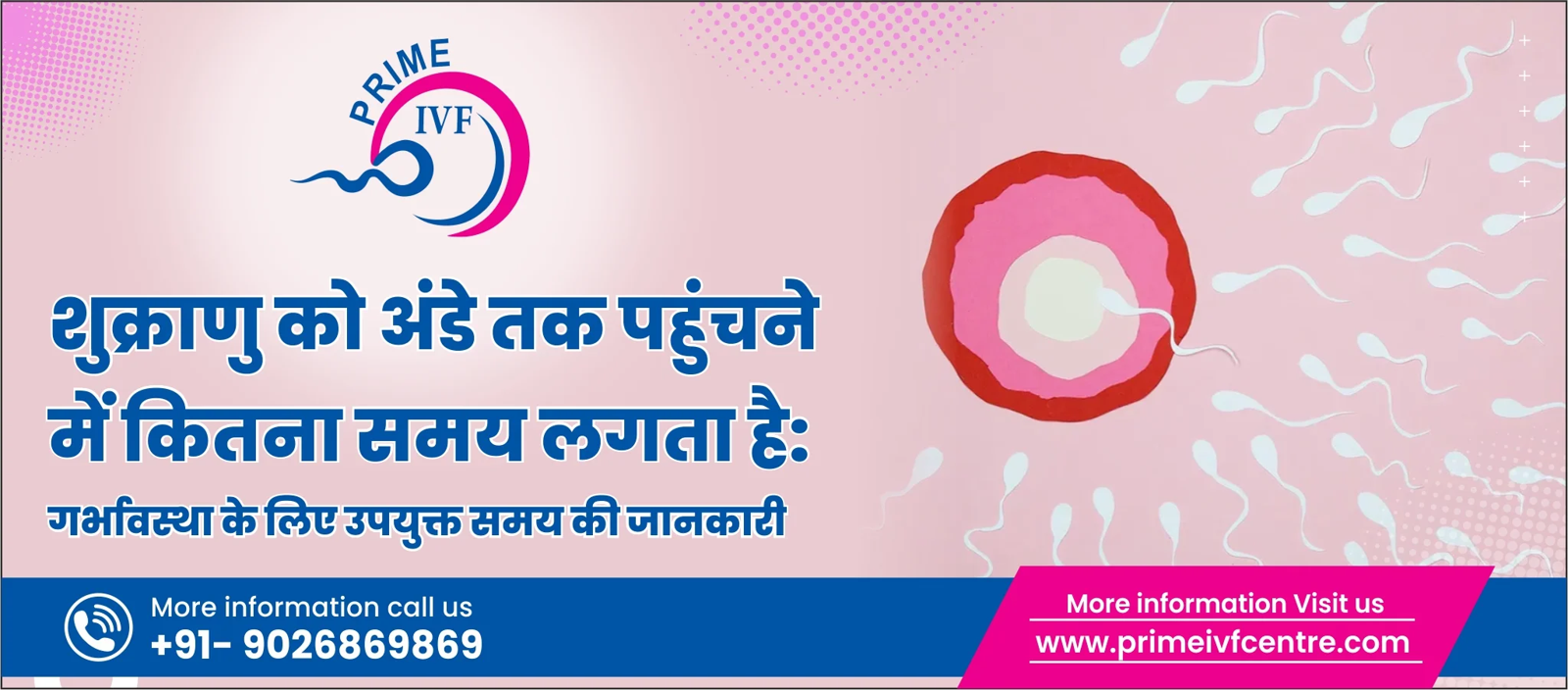 शुक्राणु को अंडे तक पहुंचने में कितना समय लगता है: गर्भावस्था के लिए उपयुक्त समय की जानकारी