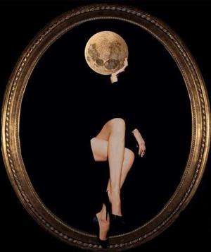 petalsofcamelias logo