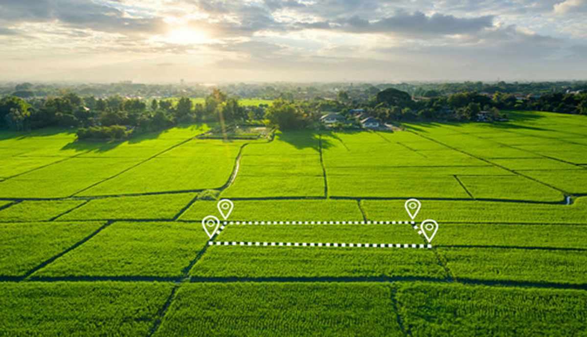 Godrej Plots Panipat: Create a Custom Home with Godrej’s Trusted Brand