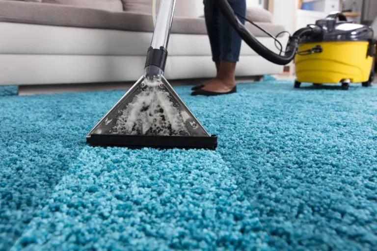 The only carpet cleaning service you will ever need