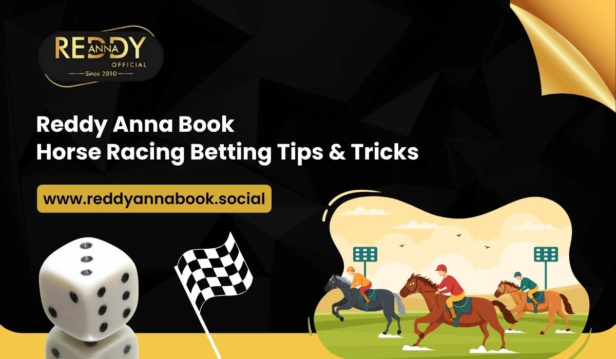 Reddy Anna Book Horse Racing Betting: Tips & Tricks