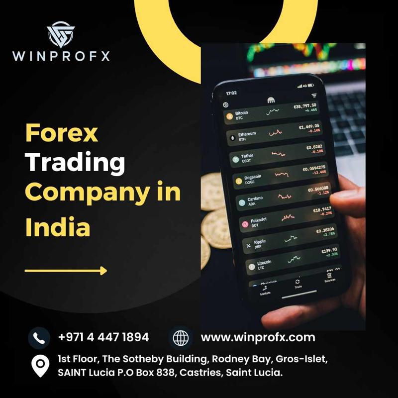 The Role of a Forex Trading Company in India’s Financial Market