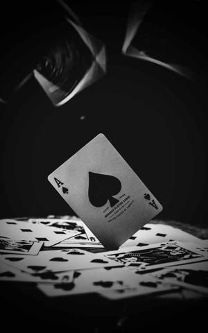 L.Mahima Sharma logo