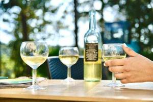 Custom Seasonal Labels: A Brilliant Strategy for Product Promotion