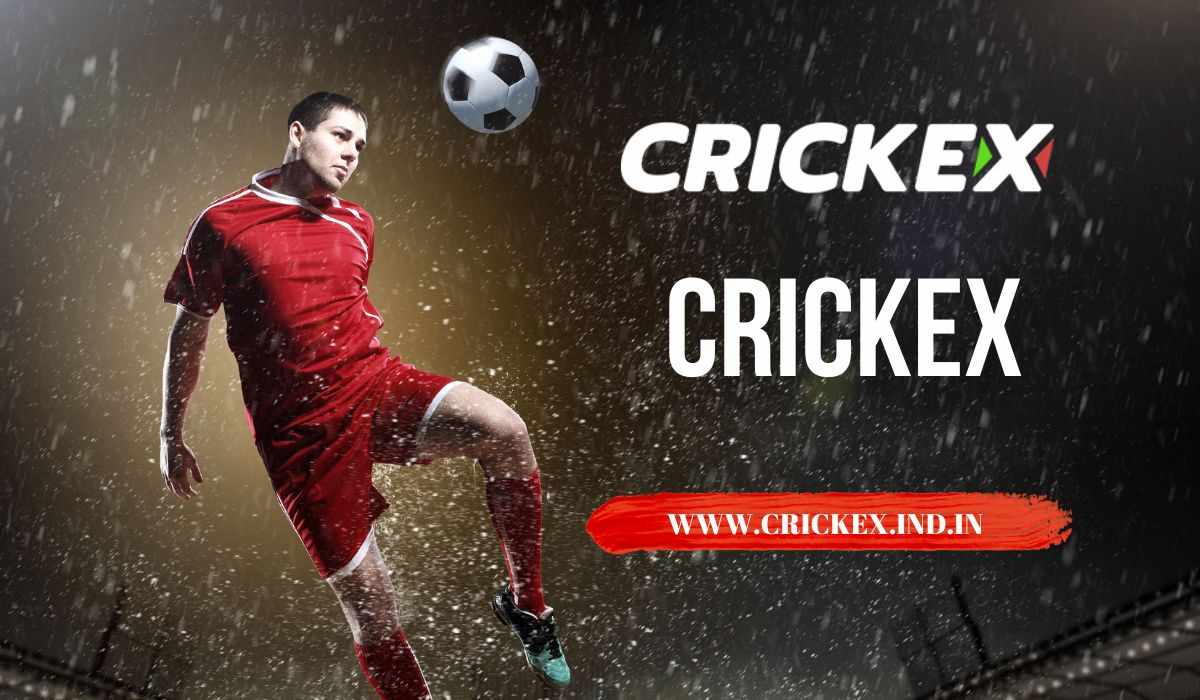 Crickex Experience: Bringing You Closer to the Game Like Never Before
