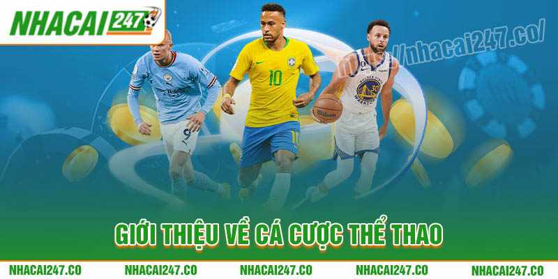 Nhacai247 Giới thiệu về thể thao